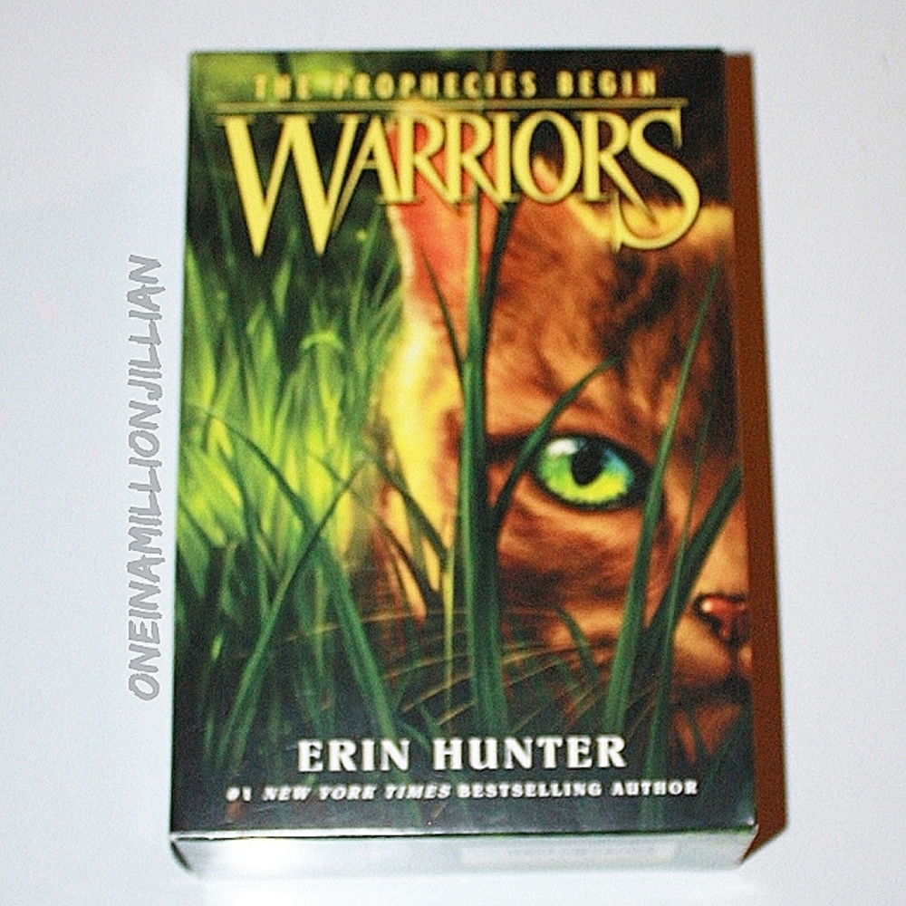 BOOK BOX SET - Warriors The Prophecies Begin #1-3